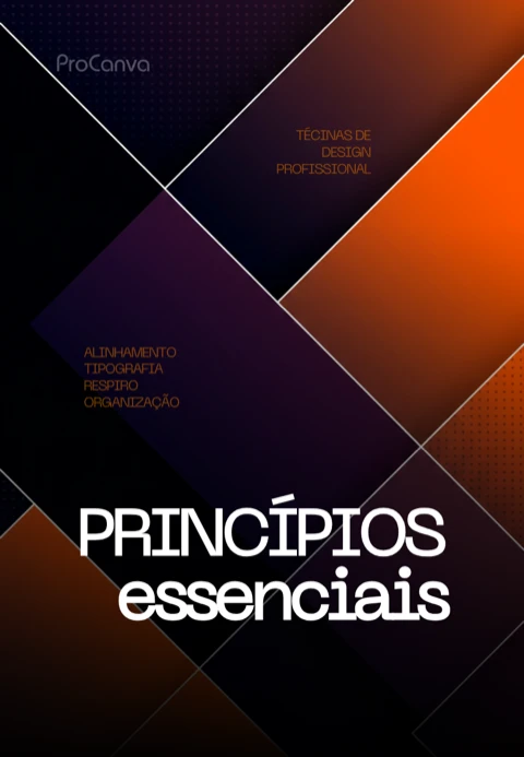 4 - Princípios de uma arte profissional